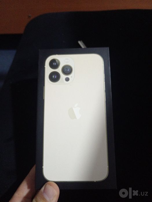 Iphone 13 pro max  karopkasi