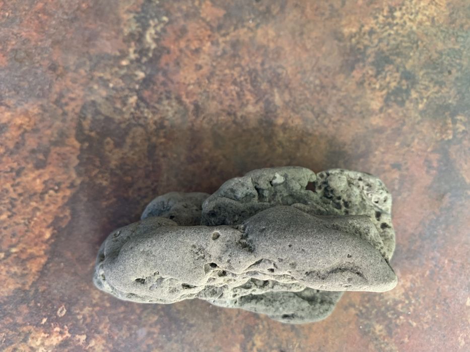 Piatra naturala pentru acvariu