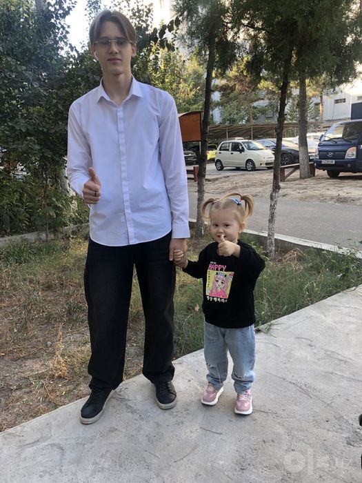 Котик чистокровный