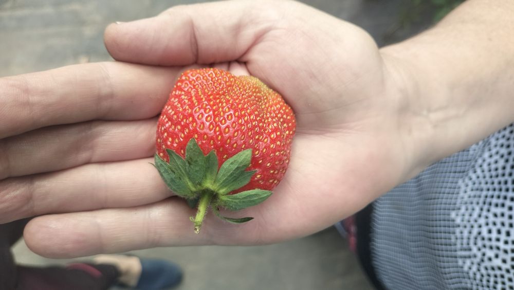 Продам ухоженную дачу