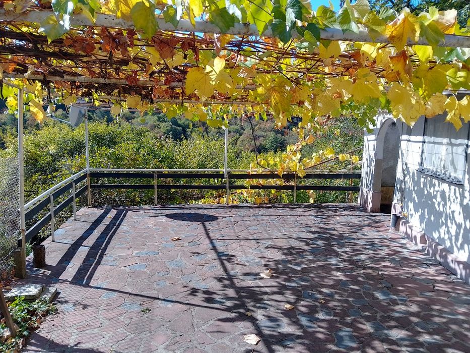 Продавам вила в гората