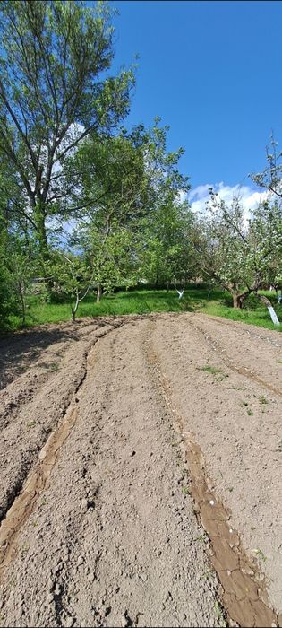 OQ TOSH 12 SOTIX YER SOTILADI xujjati joyida