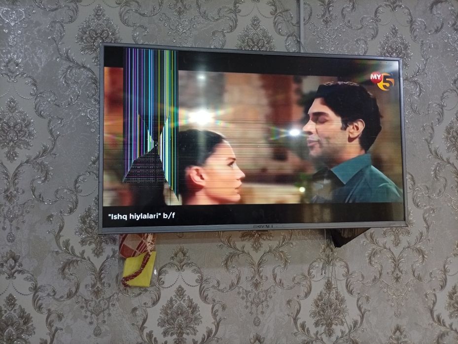 43 талик шивакки