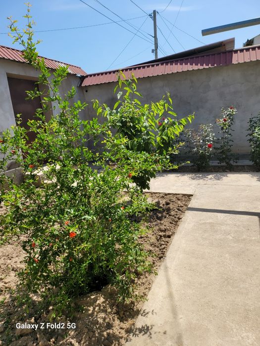 Обмен или Продаётся дом в Чирчике