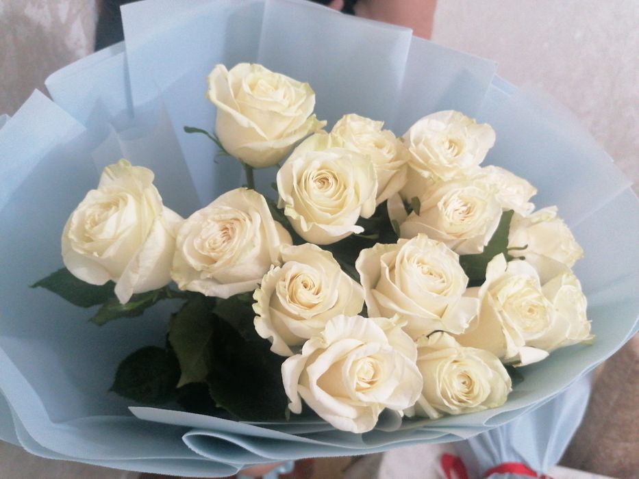 Гүл сатам, продам цветы