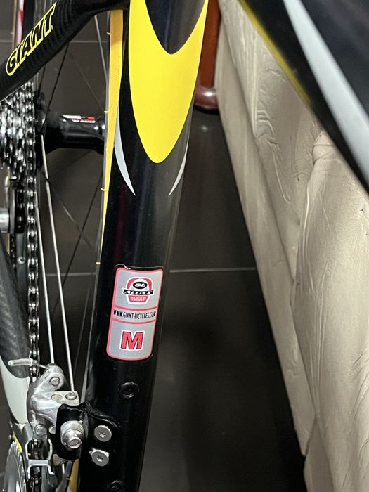 Cursiera Giant TCR hybrid