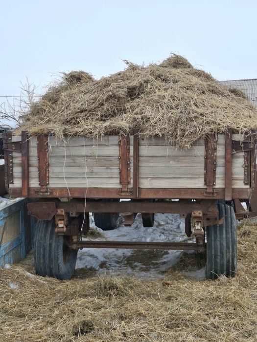 ПТС - 4 на ходу.