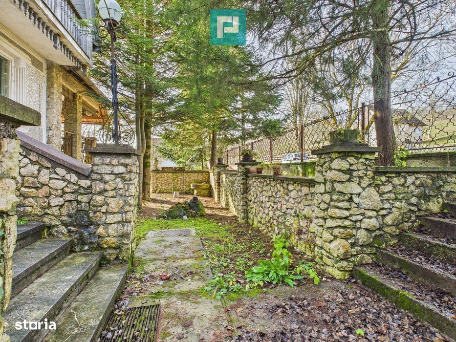 Casă P+E+M cu teren 8163 mp – Roşia Nouă (Petriş)