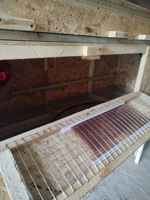 Брудер для цыплят большой