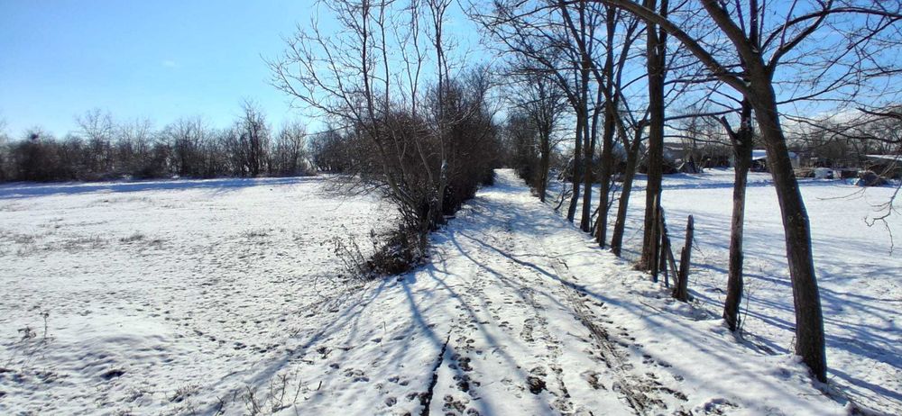 Teren intravilan 3.594 mp