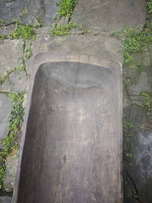 нощви големи стари