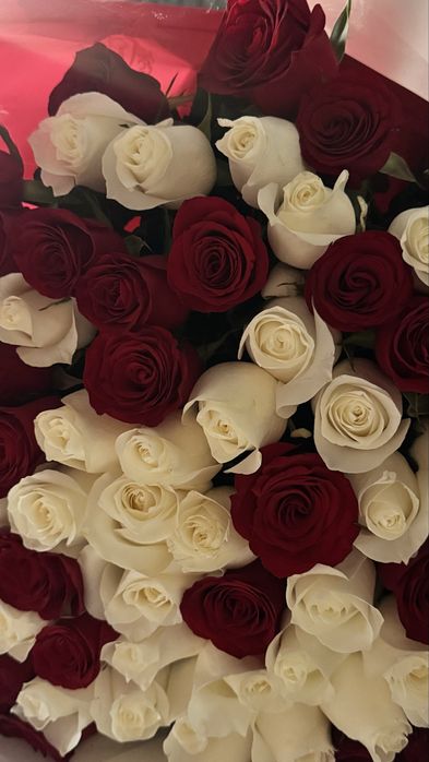 101 роза красные и белые