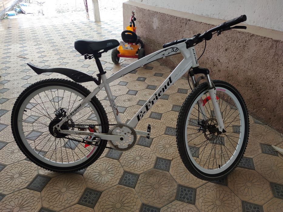 Sportivniy  velosoped E-Friend