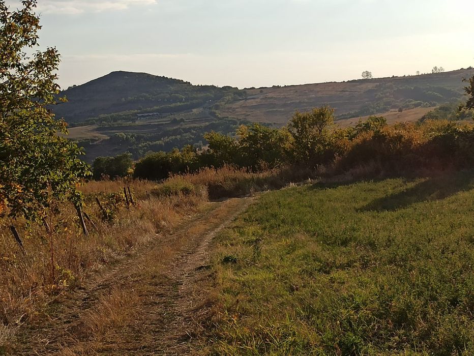 Terenuri in extravilan
