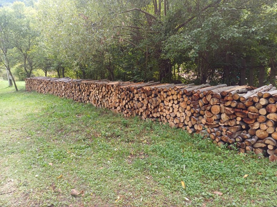 Lemne de foc fag capete uscate sau verzi 600lei tona sau la metru ster