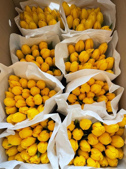 Например Цветыыы