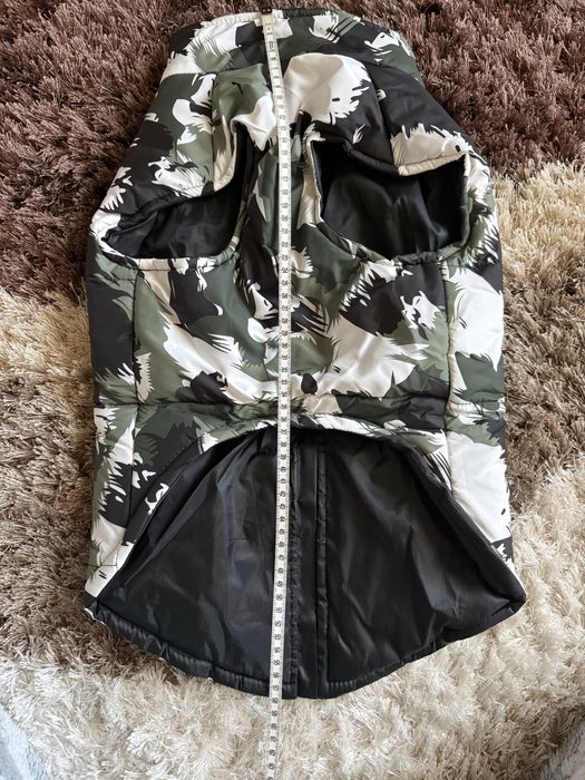 Haina catei talie medie