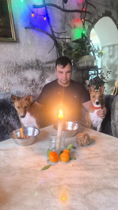 Передержка животных! Професиональная Любовь и забота о вашем любимце