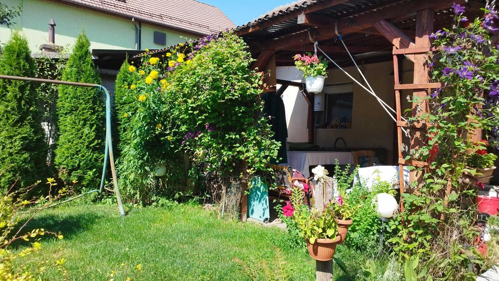 2 camere, la casa, 60 mp, cu terasă si spatiu verde, zona pod IRA