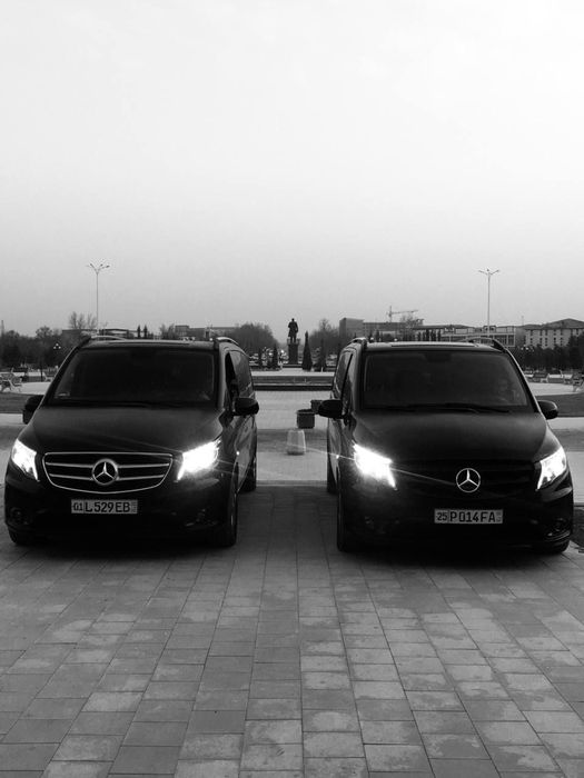 Услуги на Mercedes Benz V-class Vito Viano V-klass S-class, Toy kartej
