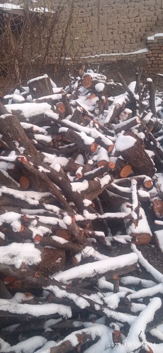 Oʻrik oʻtin sotiladi kelishilgan holda