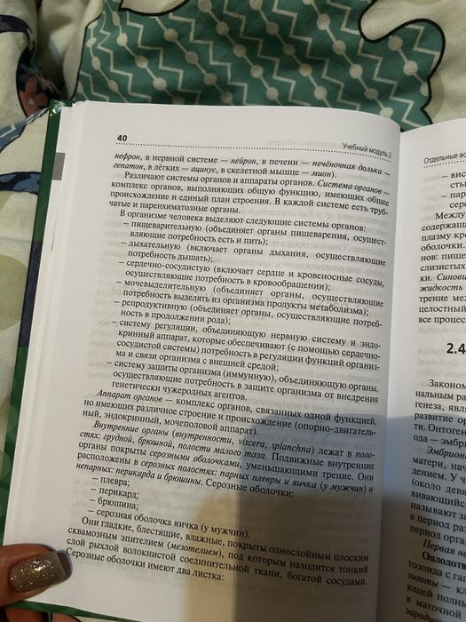 Дождевик и ботиночки для собак мелких пород