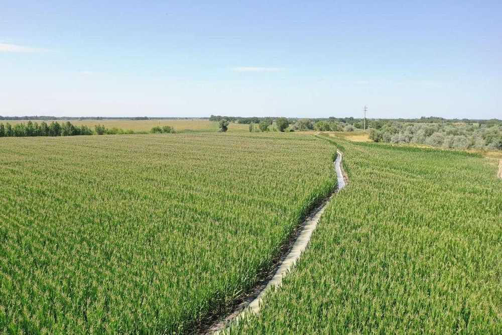 Продажа участка К/Х Жанашар