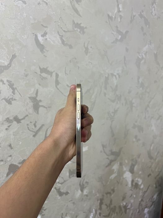 Iphone 13 Pro Max sotiladi