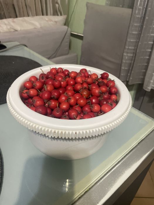 Продам боярышник