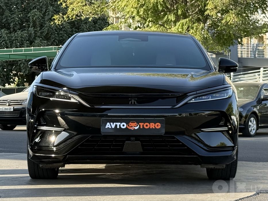 BYD Song L Beyond 2024 год