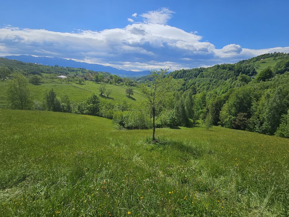 Teren  intravilan Măgura - Moieciu