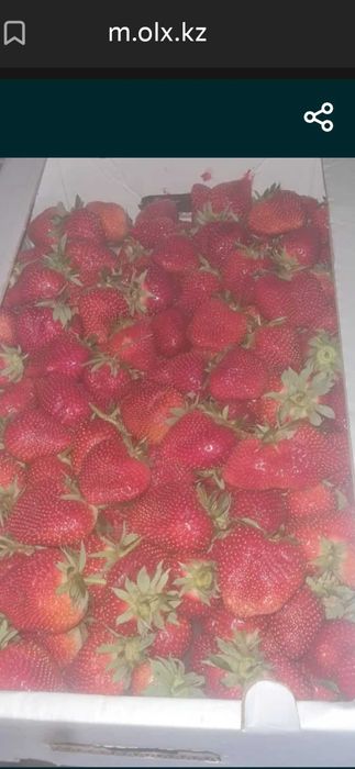 Клубника отличьно