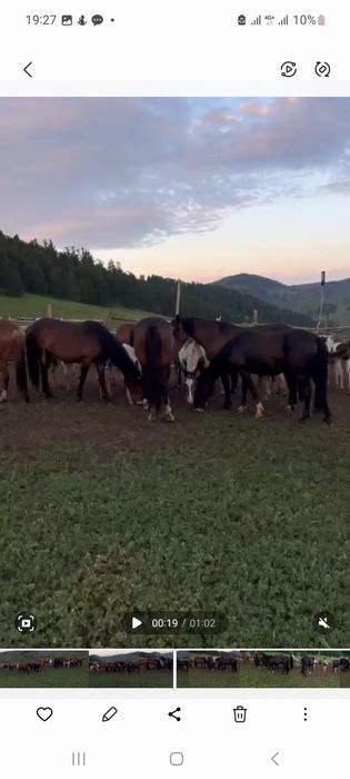 Продам крестьянсеое хозяйство