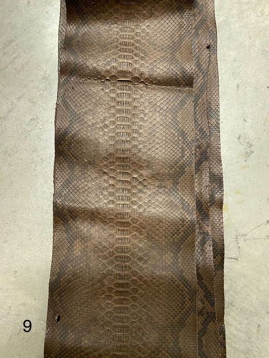 Естествена змийска кожа