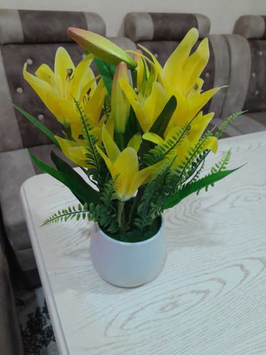 Dekorativniy suniiy gullar