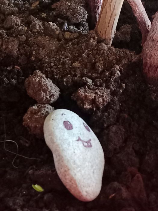 Камень красивенький