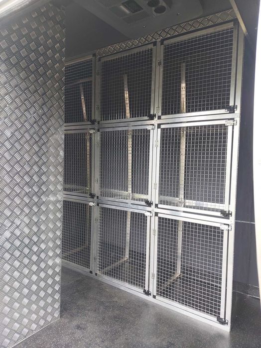 Echipez mașini transport câini