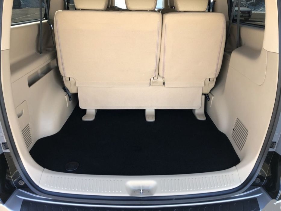 Minivan Rental with Driver: Trips Cities, Suburbs, and Between Cities