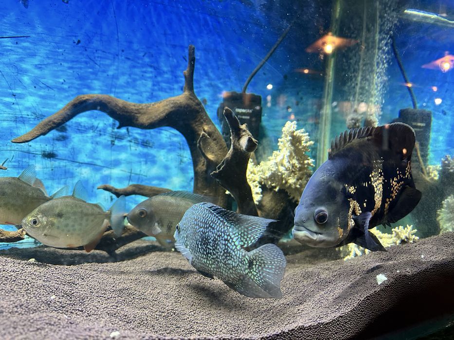 Продам аквариум!