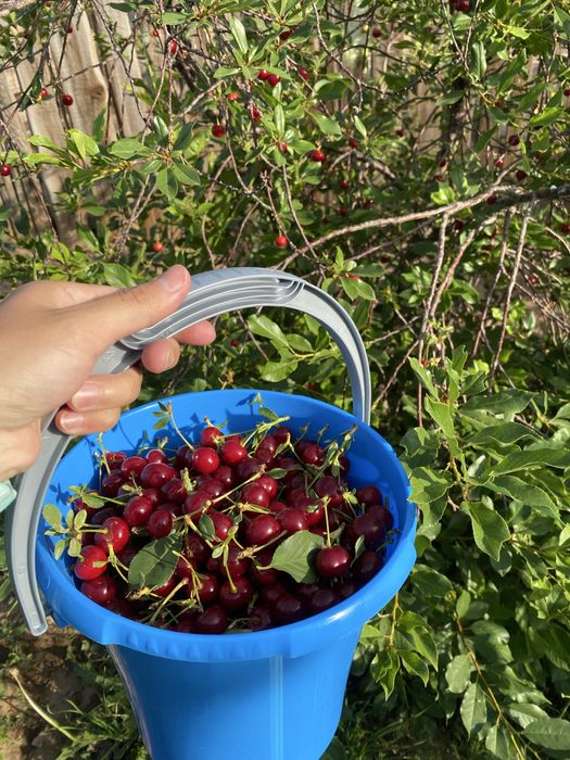 Продаётся Дача