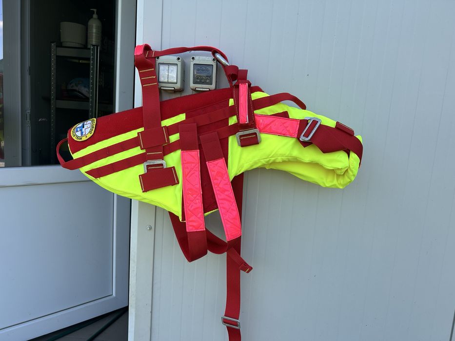 Vesta Ham Caine de Salvare