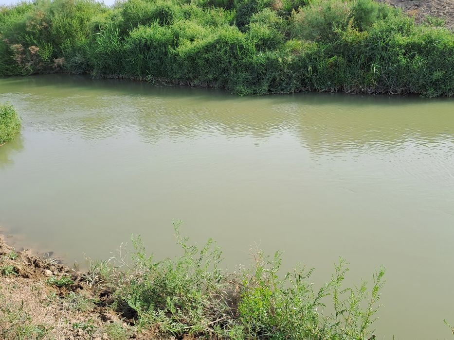 Егістікке арендаға жер беріледі.