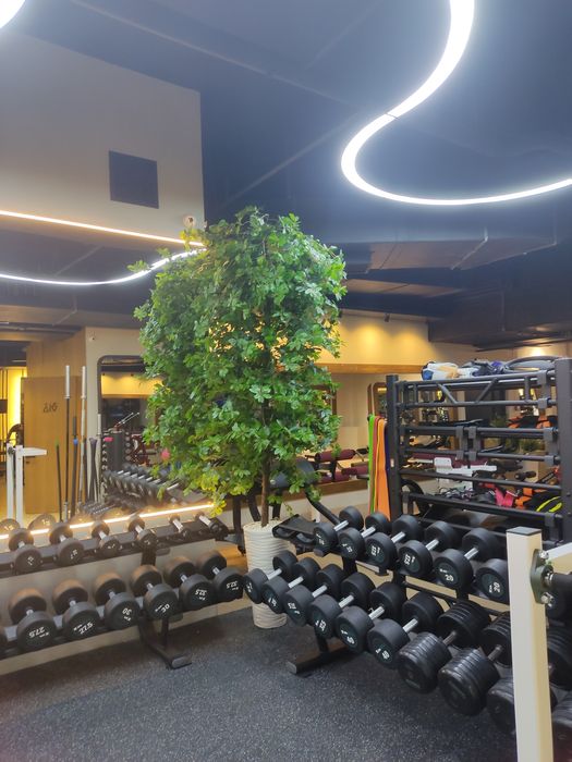 Деревья искусственные