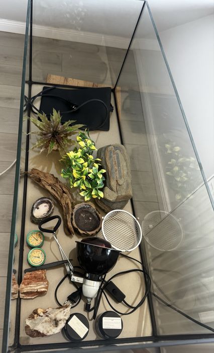 Vand terariu agama cu toate accesoriile
