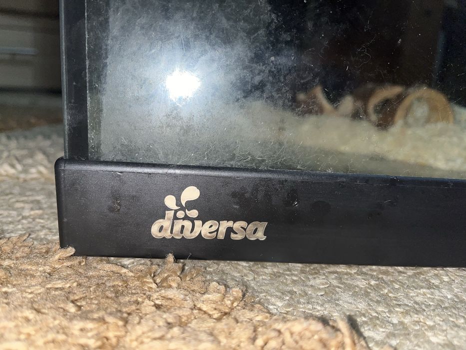 vand acvariu diversa