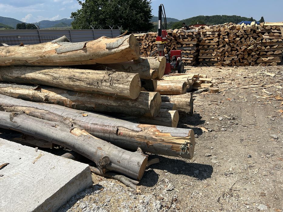 Vand lemn foc direct din depozit , fara intermediari