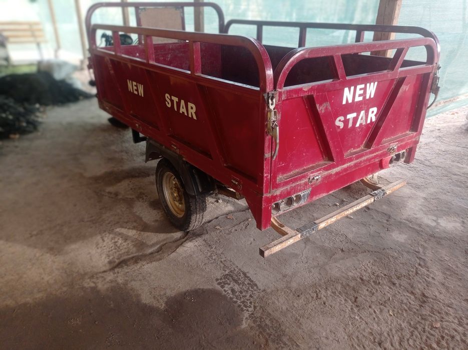 Муравей нови сторт