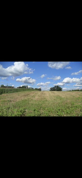 Teren Costesti 2242-Zona Politie