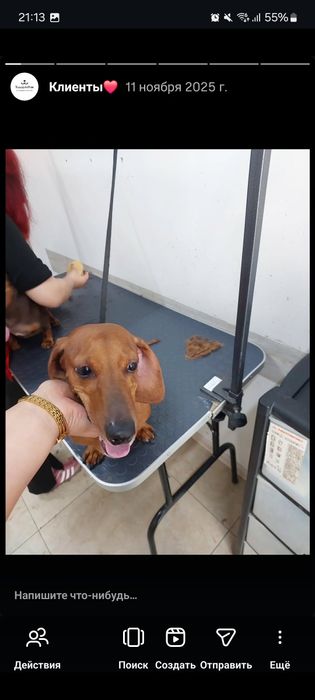 Груминг за 5000 тенге