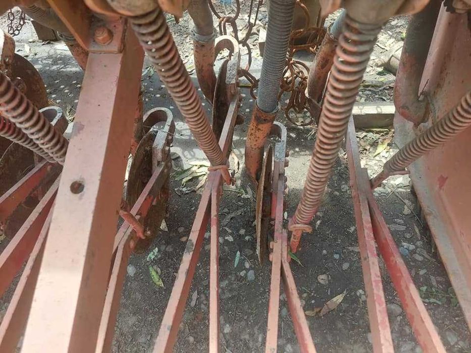 semanatoare paioase pe discuri